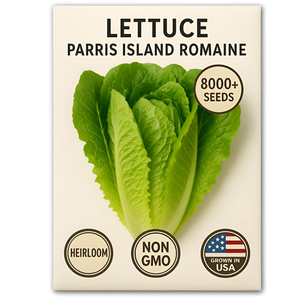 Bloomtiva US-grown non-GMO seeds for safe harvests
