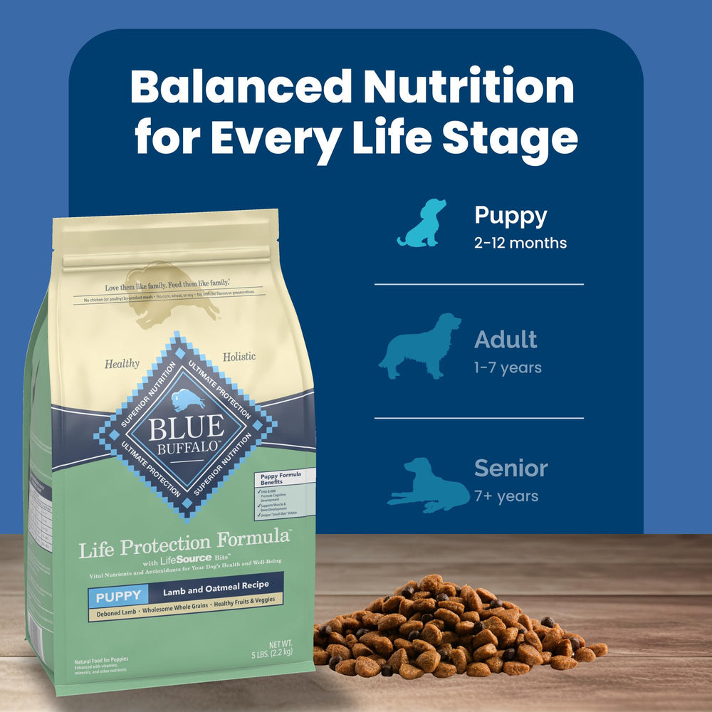 Blue Buffalo 5lb packaging detail showcases value and freshness.