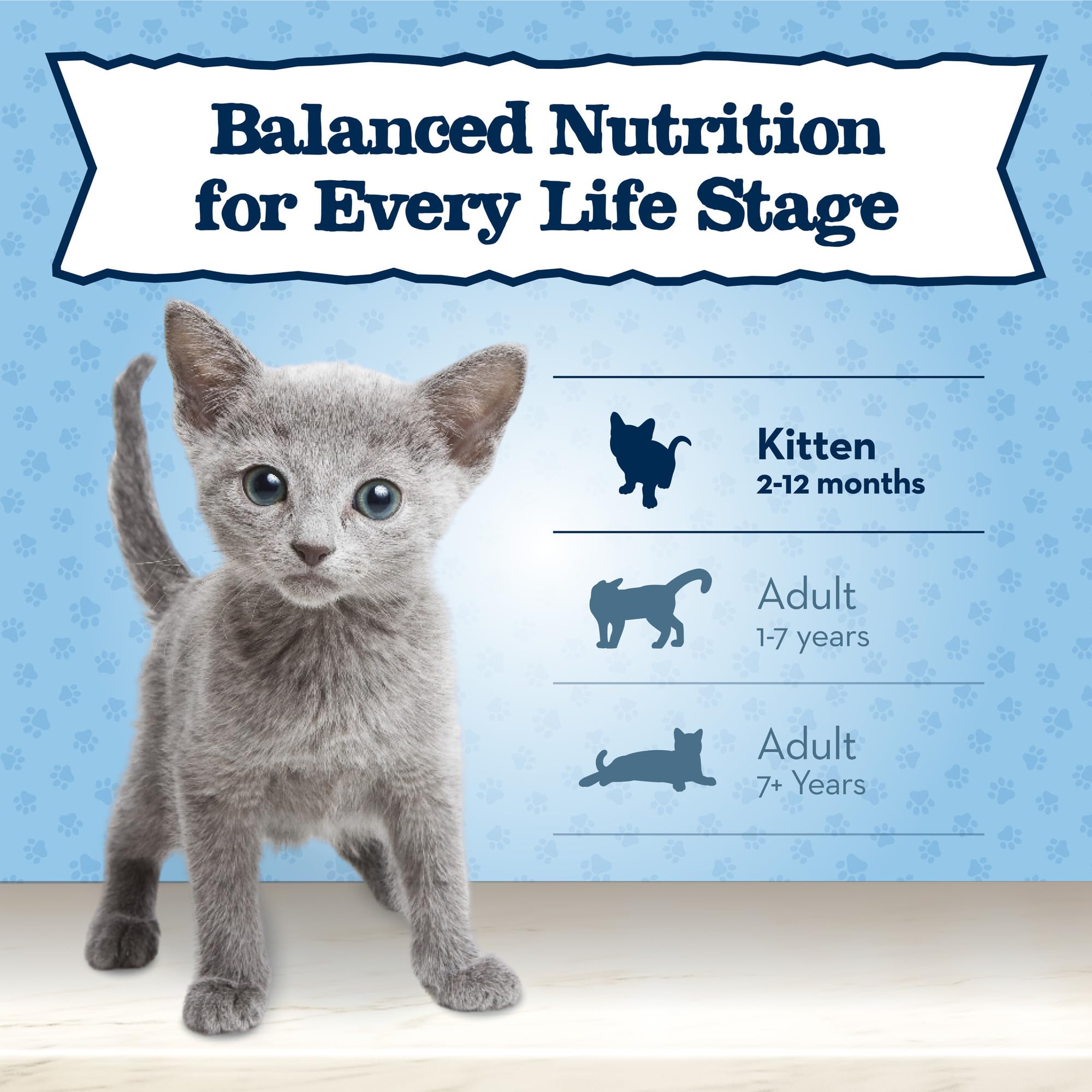 Blue Buffalo Baby BLUE 5-lb bag on a kitchen counter