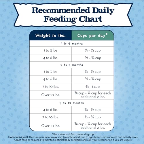 Blue Buffalo Baby Blue serving bowl demonstrates kitten-friendly portioning