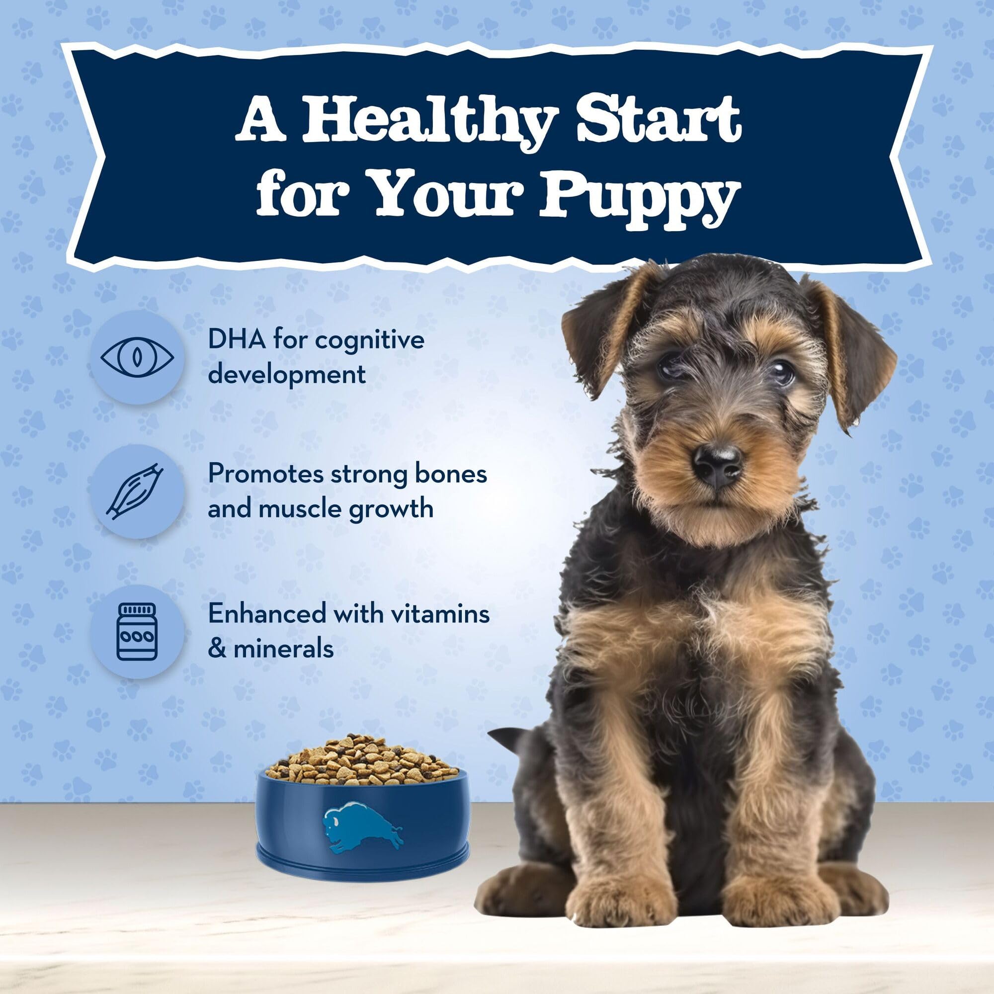 Blue Buffalo Baby BLUE LifeSource Bits antioxidant blend visual.