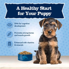 Blue Buffalo Baby BLUE LifeSource Bits antioxidant blend visual.