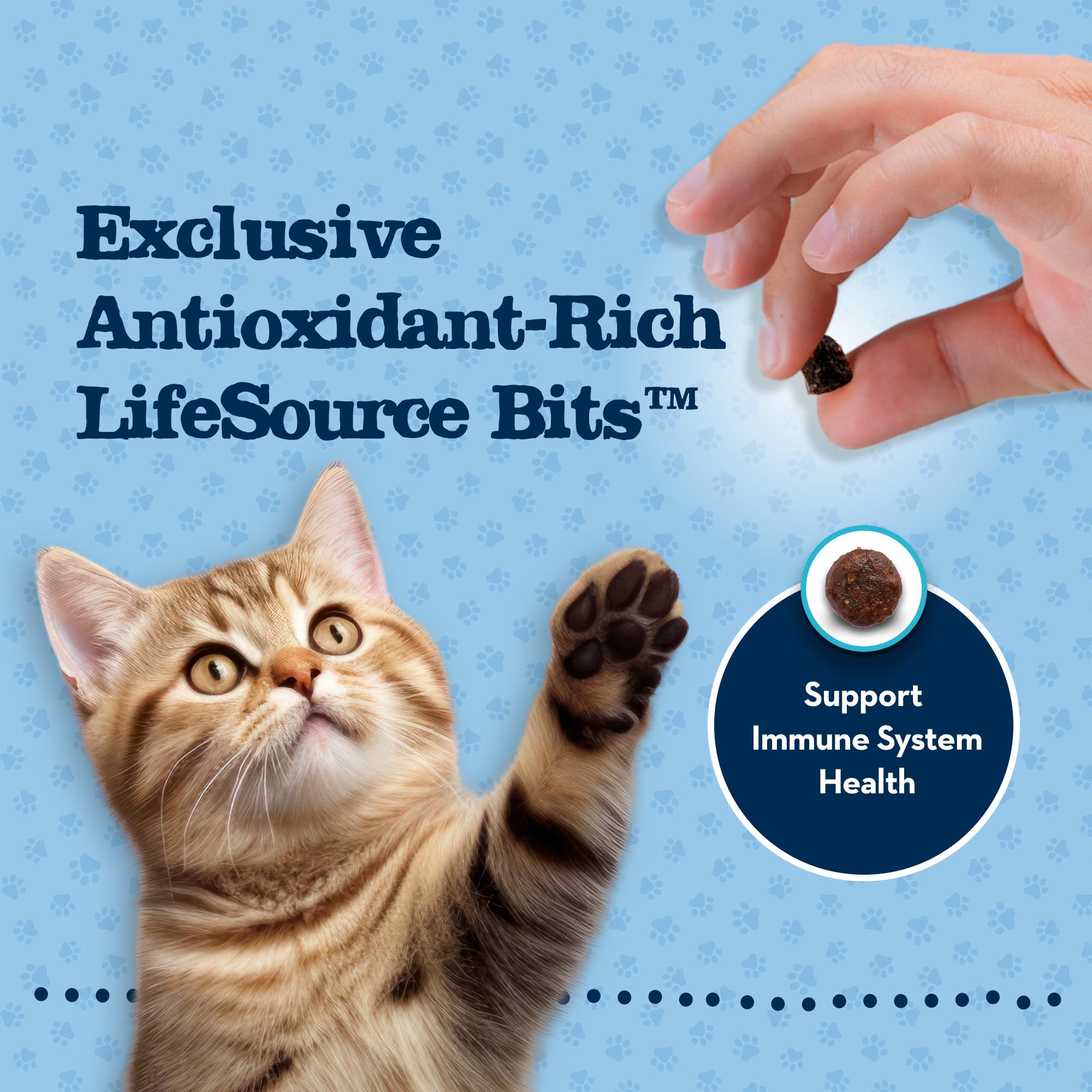 Blue Buffalo Baby BLUE no-corn-wheat-soy tag indicates wholesome ingredients for kittens.