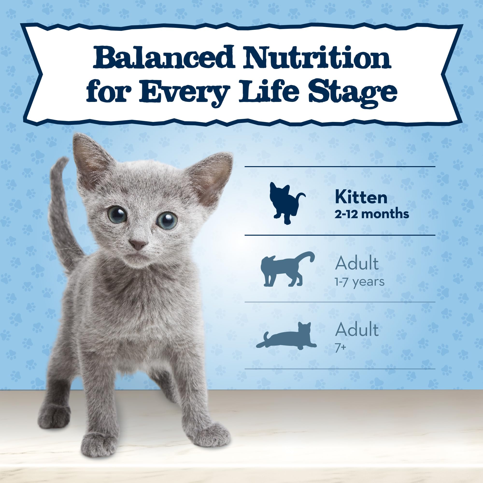 Blue Buffalo Baby BLUE real-chicken-first-ingredient focus highlights primary protein for kittens.