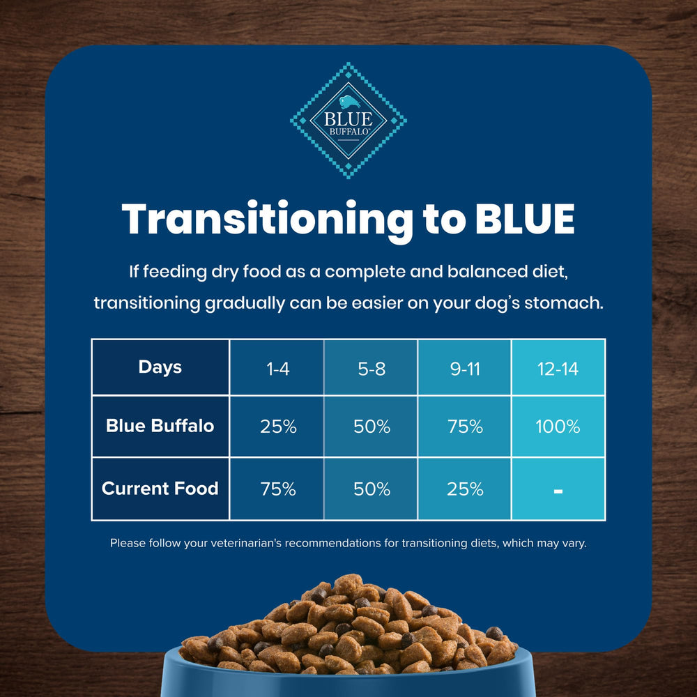 Blue Buffalo adult dog bowl scene hints at daily energy and balance.