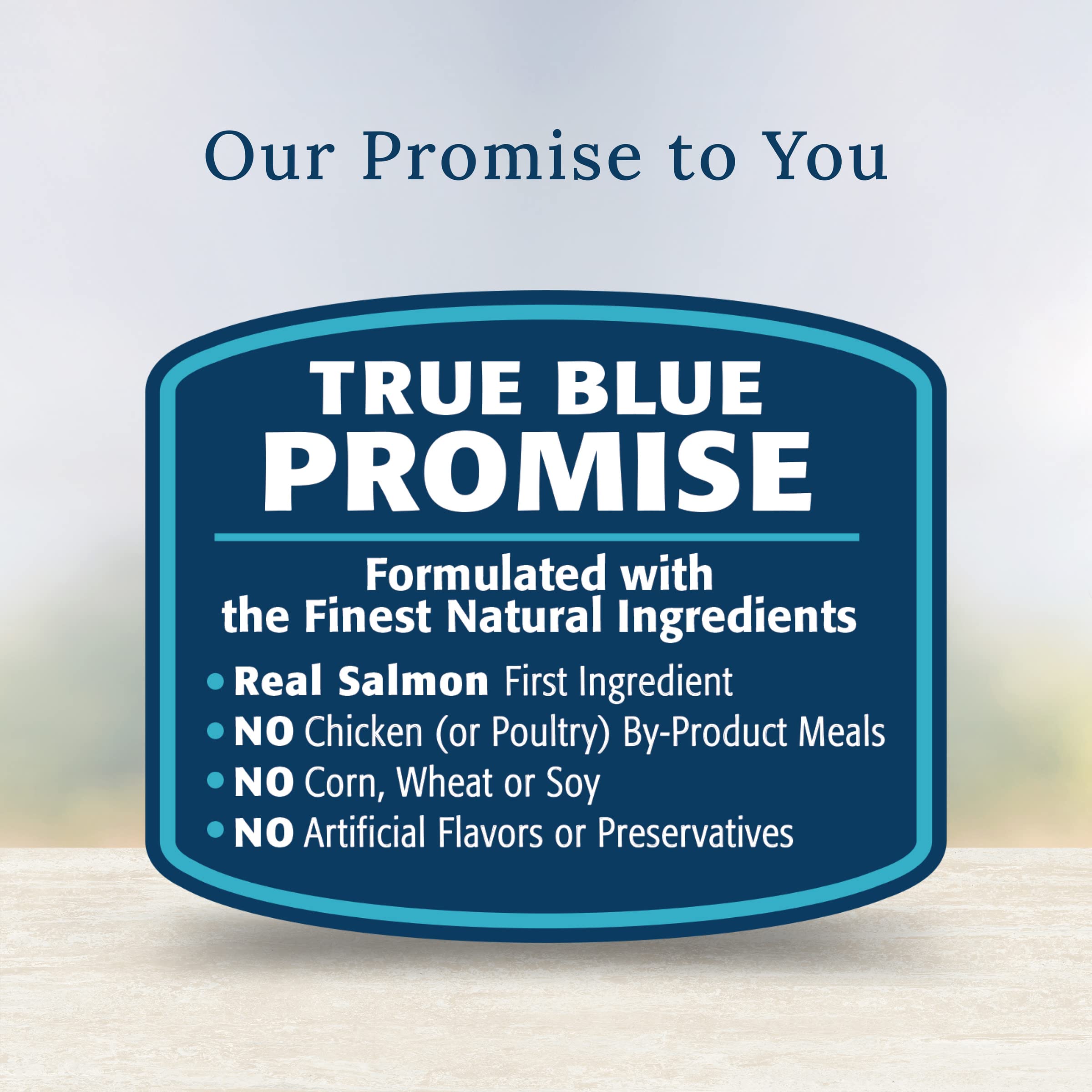 Blue Buffalo Basics texture close-up reveals tender salmon in savory gravy.