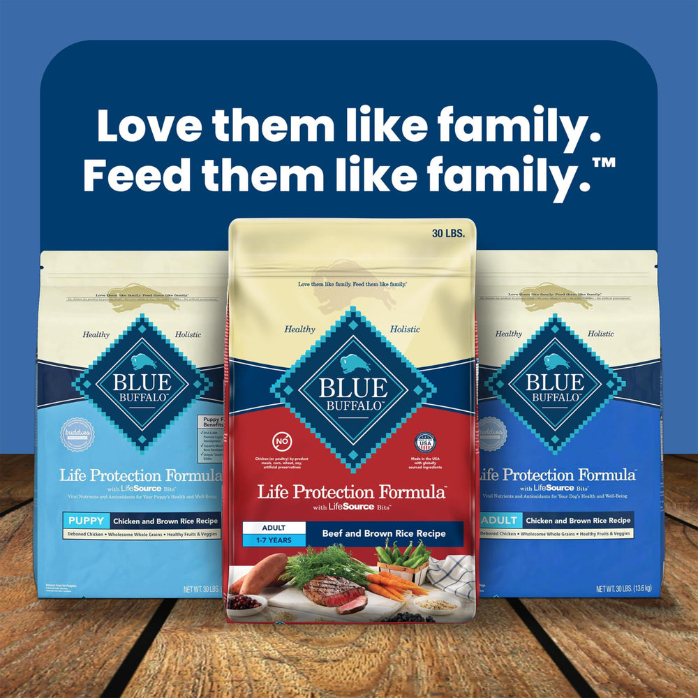 Blue Buffalo dry dog food provides daily meals for active dogs.