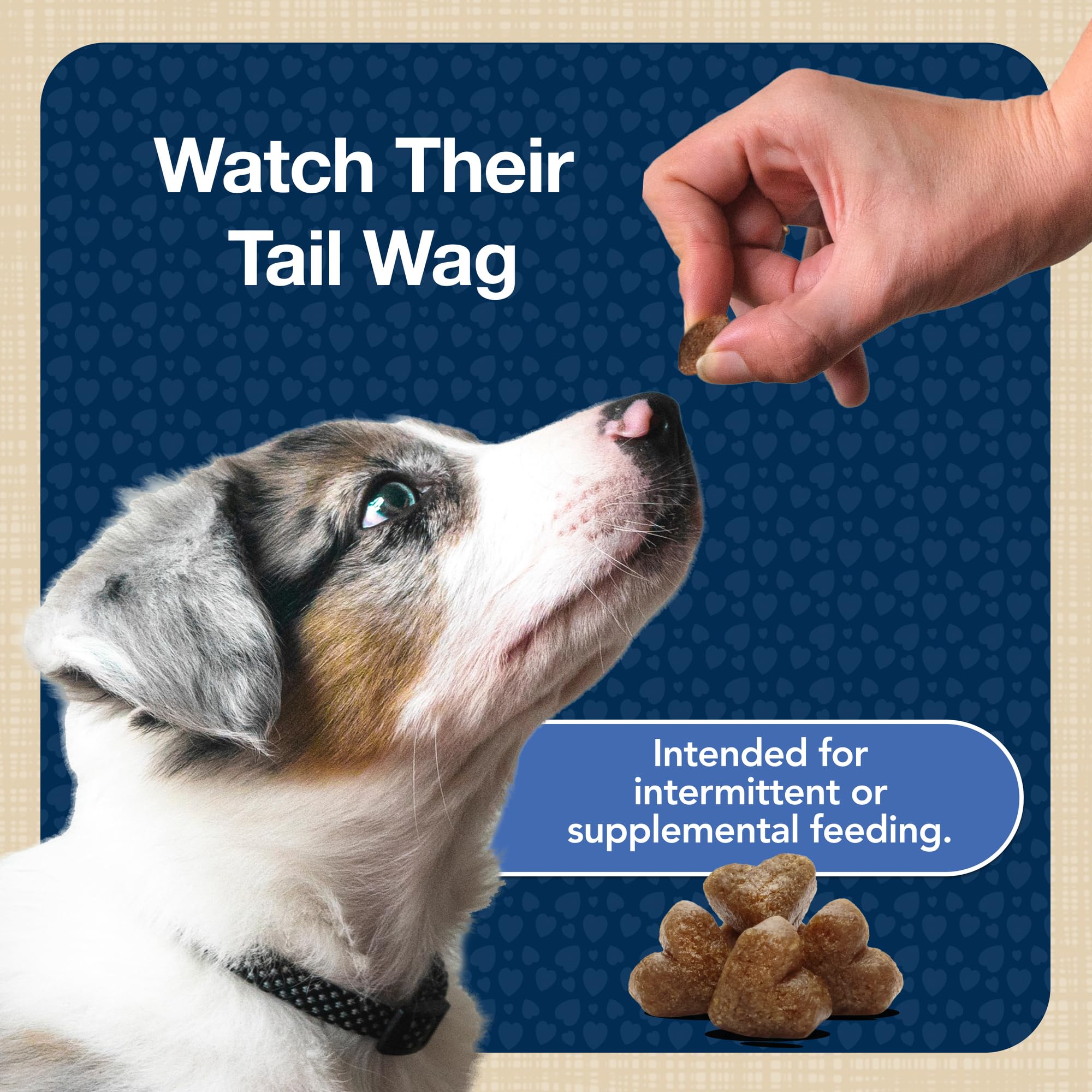 Blue Buffalo Bits DHA enrichment for cognitive support during training.