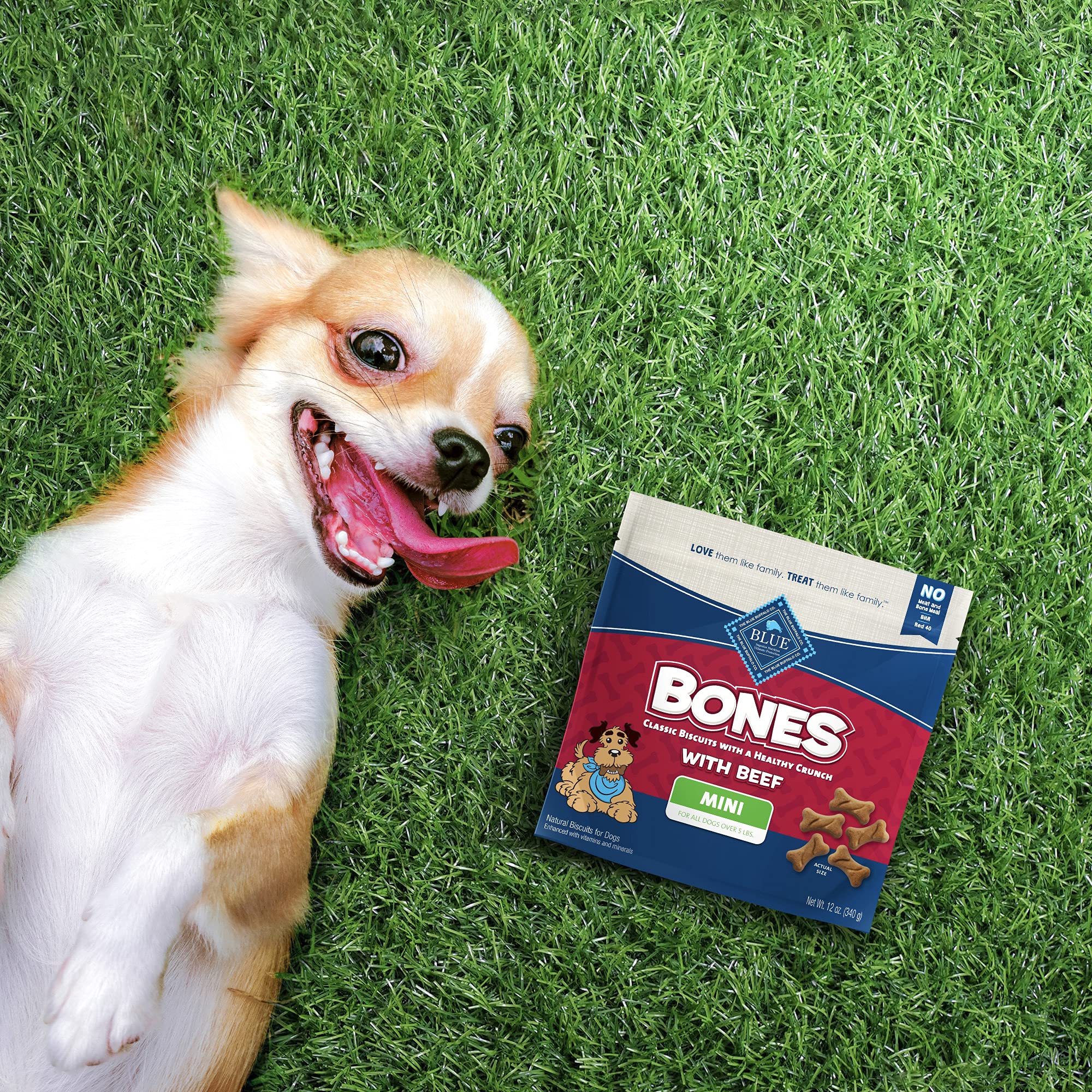 Blue Buffalo Bones crunch texture detail hints at durability for small breed chewers.