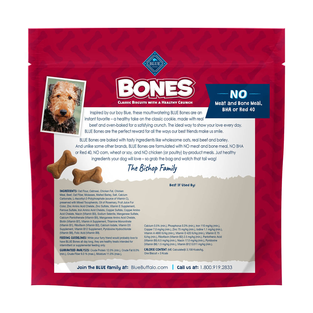 Blue Buffalo Bones mini beef biscuits closeup highlighting bone-shaped crunch for daily snacking.