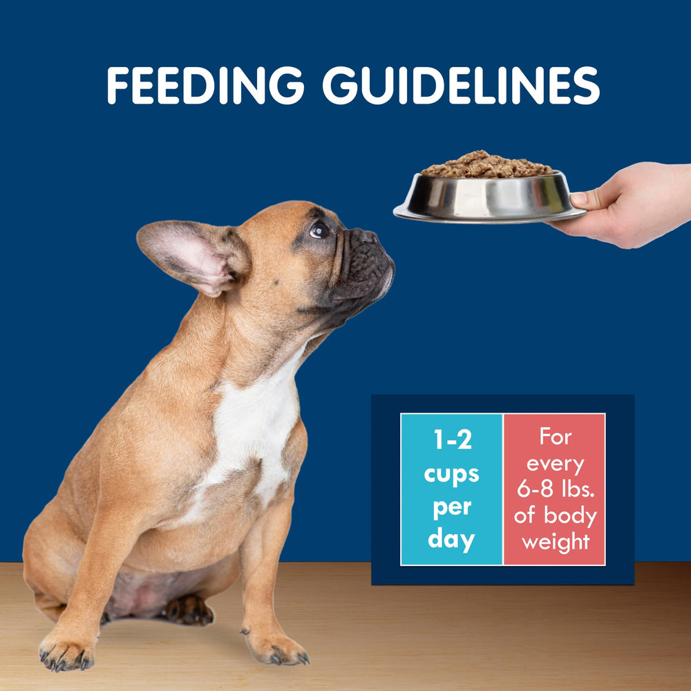 Blue Buffalo Delights close-up Prime Rib cup in gravy; easy serving for small dogs