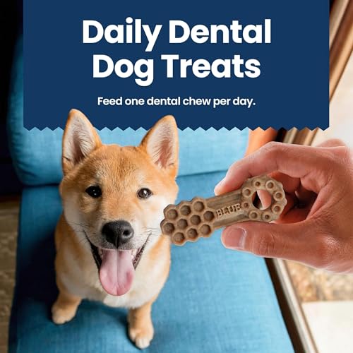 Blue Buffalo Dental Chews 34.5 oz bag signals long-lasting supply