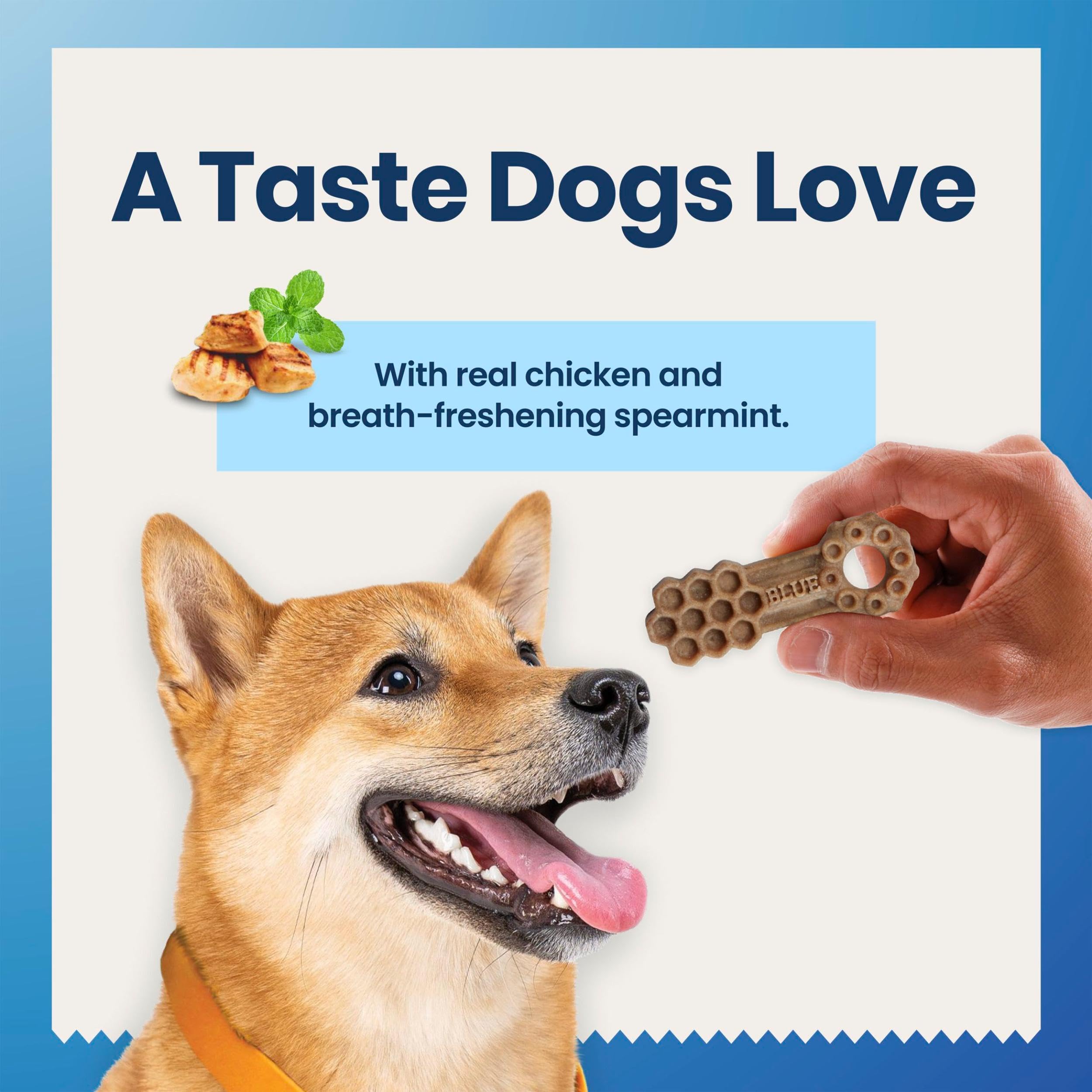 Blue Buffalo Dental Chews spearmint flavor promotes fresher breath after chewing