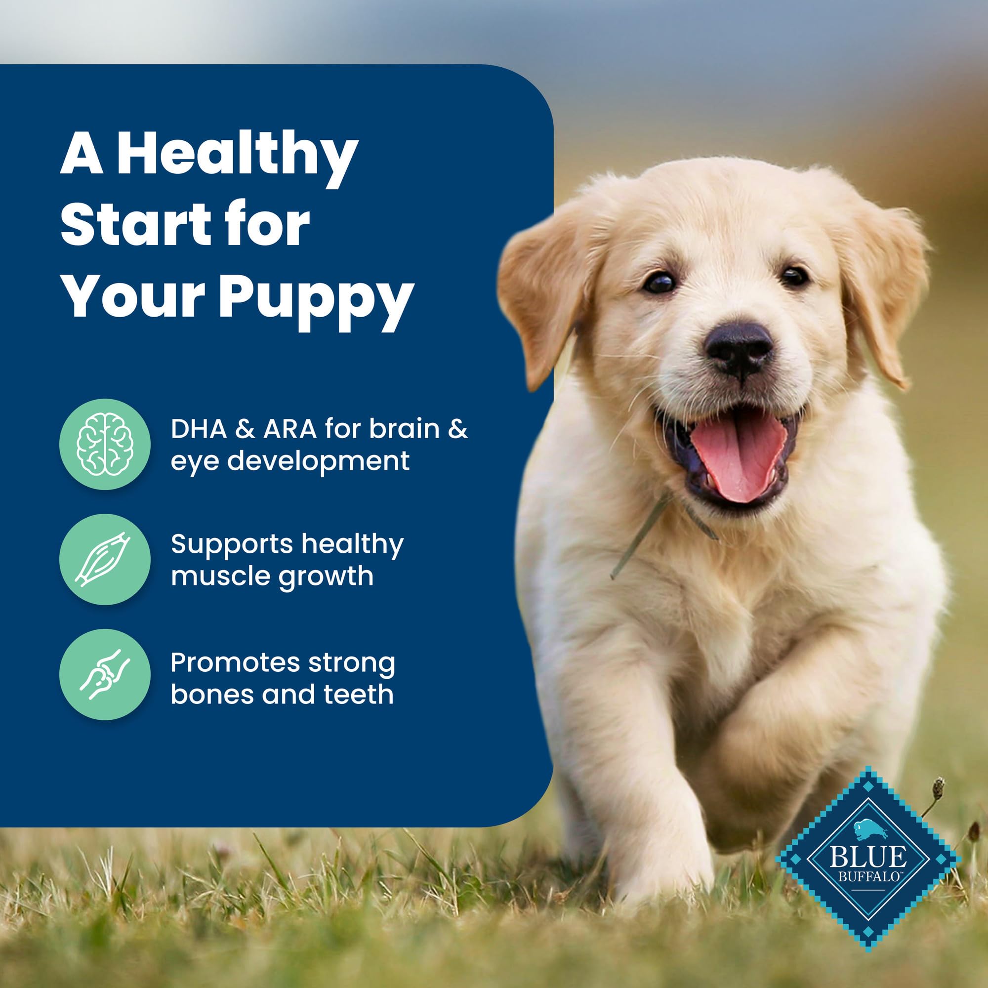 Blue Buffalo DHA-ARA fatty acids visual suggests brain and eye development support.
