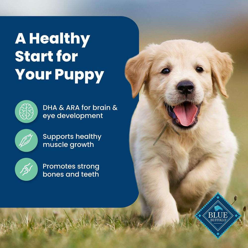 Blue Buffalo DHA-ARA fatty acids visual suggests brain and eye development support.