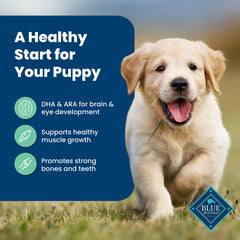 Blue Buffalo DHA-ARA fatty acids visual suggests brain and eye development support.