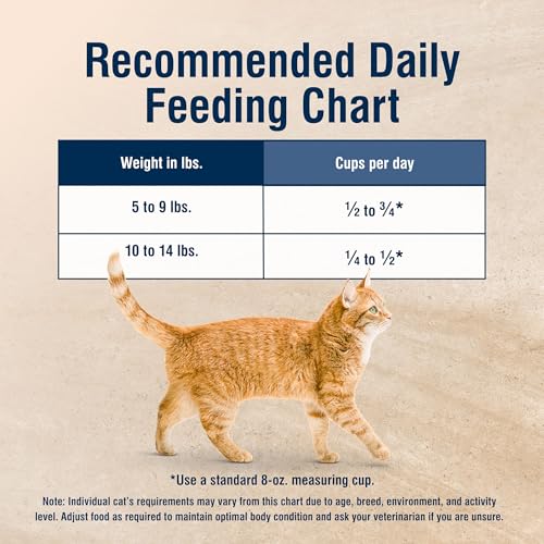 Cat enjoys meal from Blue Buffalo digestive care dry food.