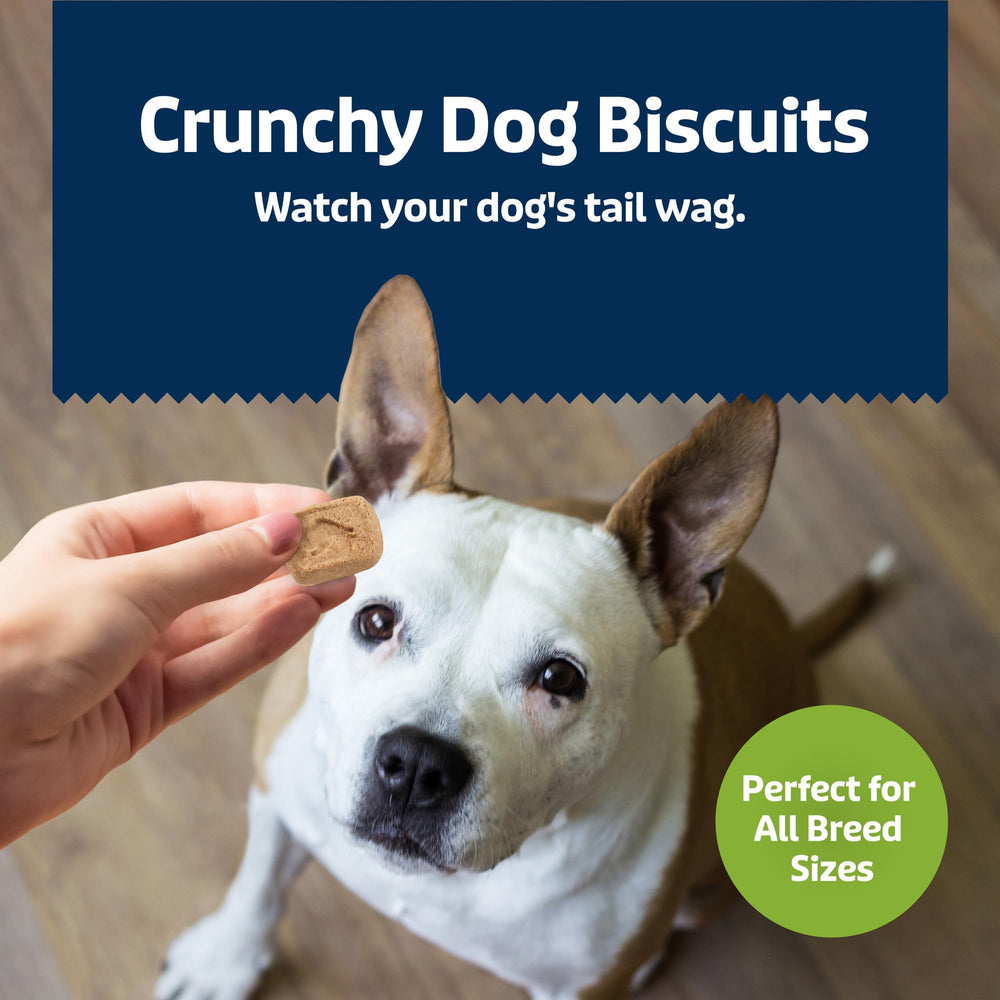 Ingrédients simples: avoine, pommes et yogourt nourrissant.