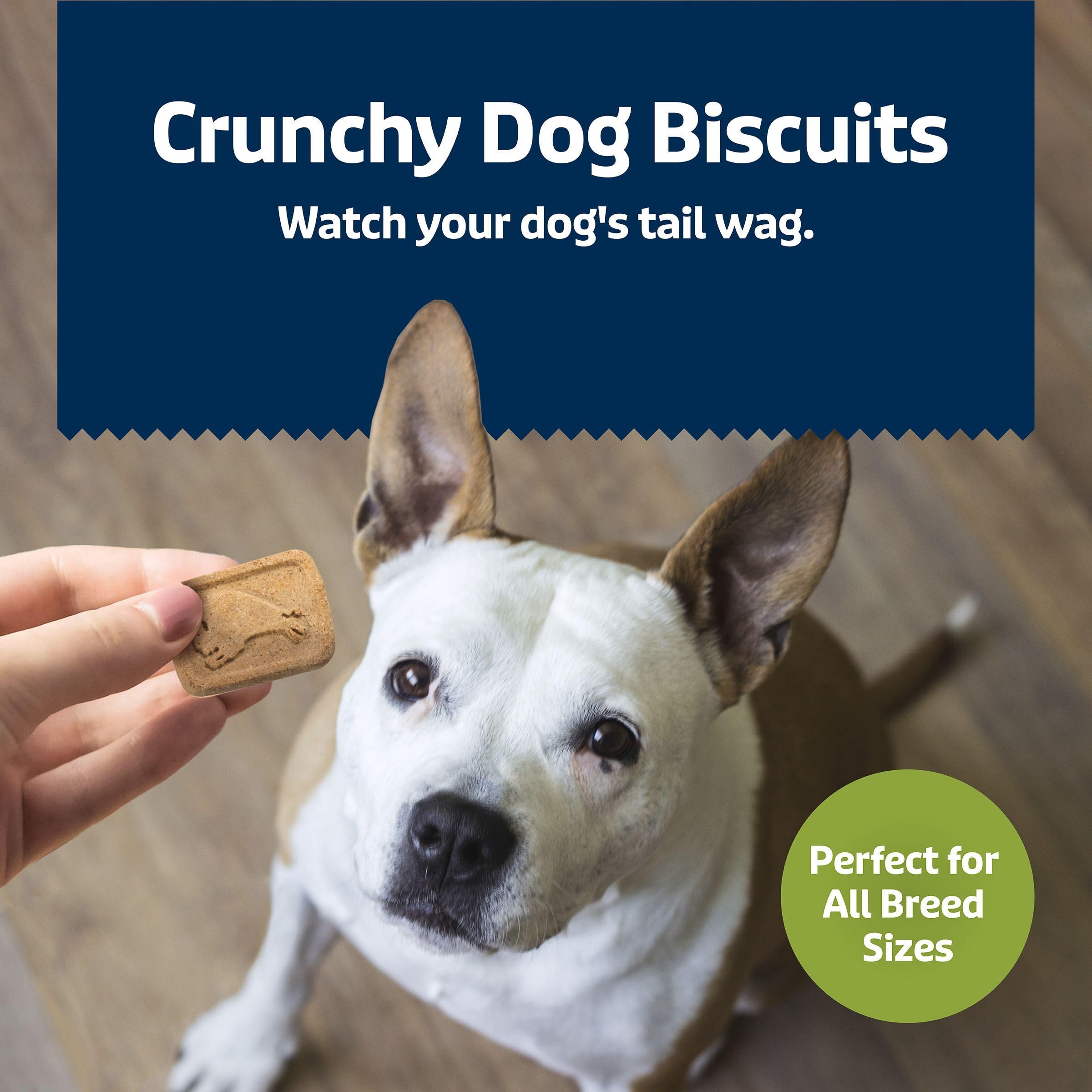 Blue Buffalo Health Bars crunchy dog treats deliver a satisfying bite