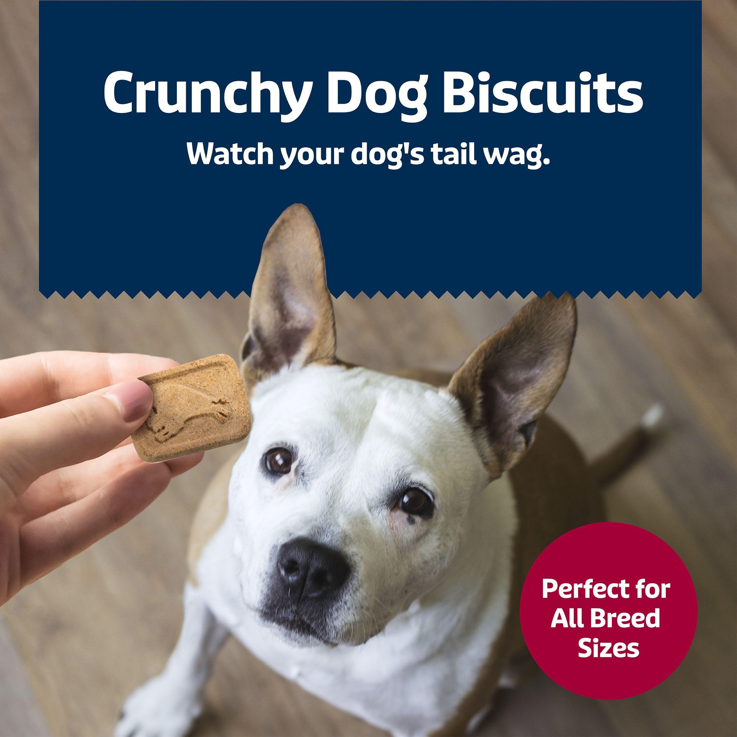 Blue Buffalo Health Bars crunchy treat with oven-baked texture dogs love.