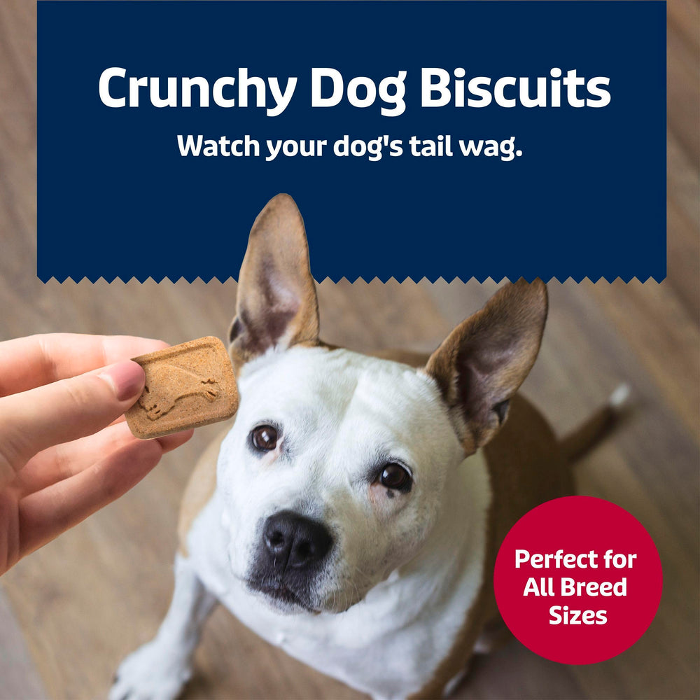 Blue Buffalo Health Bars crunchy treat with oven-baked texture dogs love.