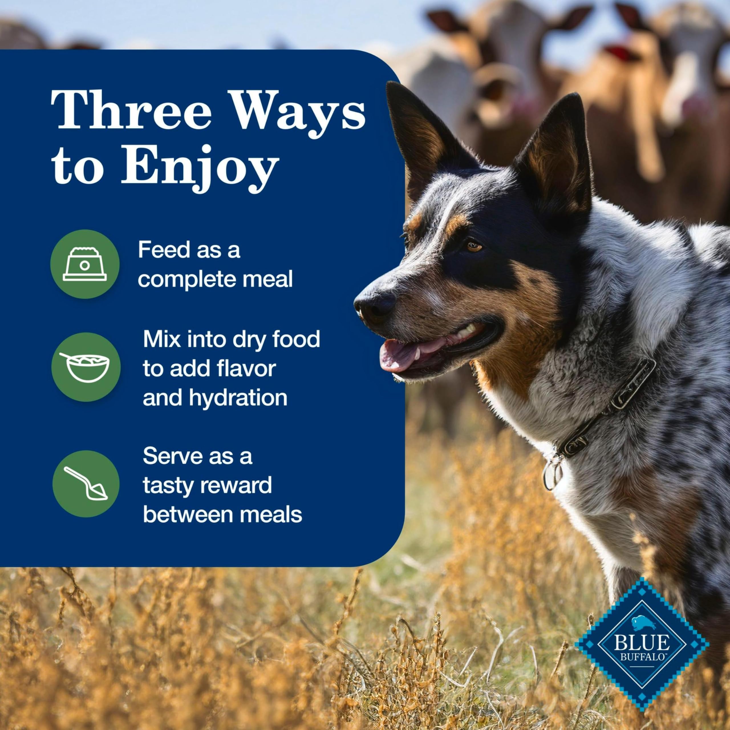 Blue Buffalo Homestyle ingredient-list graphic communicates no poultry by-product meals