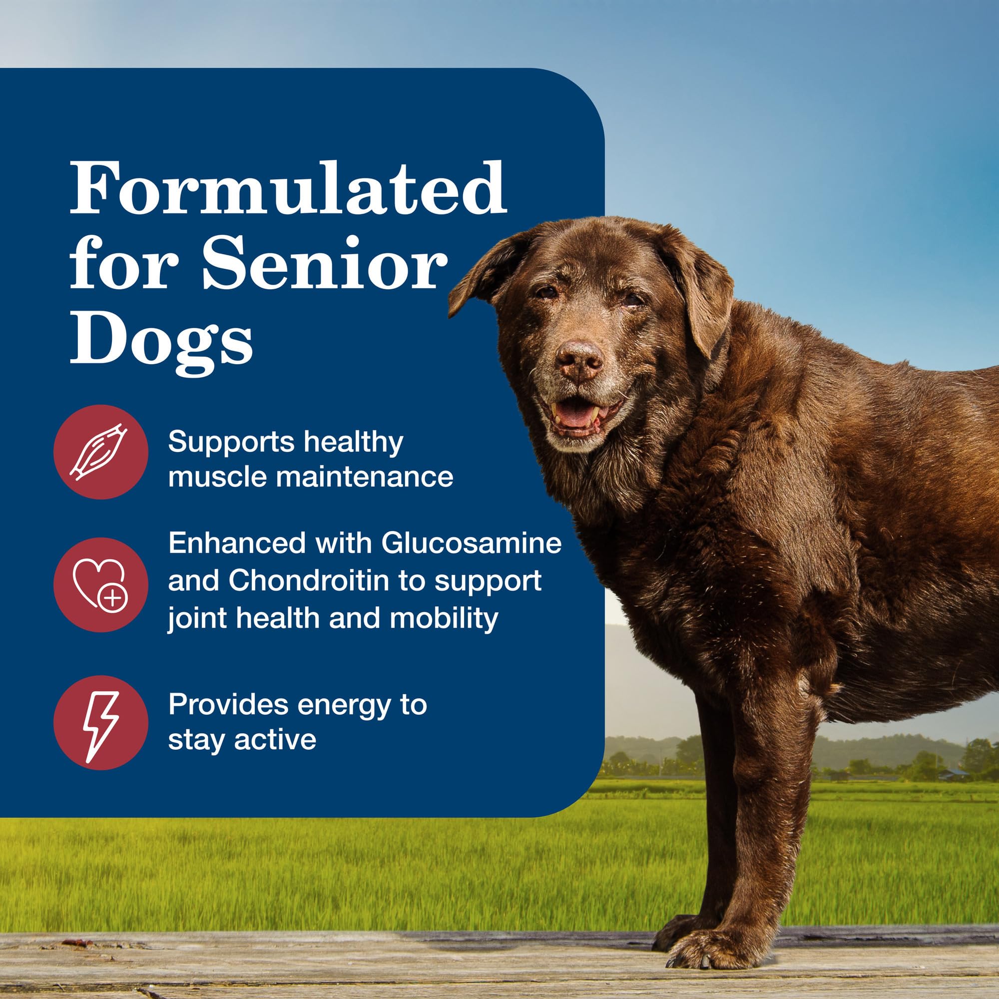 Ingredient scan of Blue Buffalo Homestyle Senior showing glucosamine and chondroitin