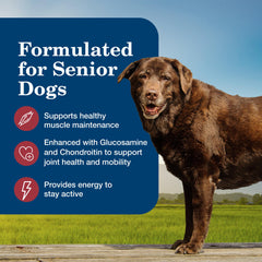 Ingredient scan of Blue Buffalo Homestyle Senior showing glucosamine and chondroitin