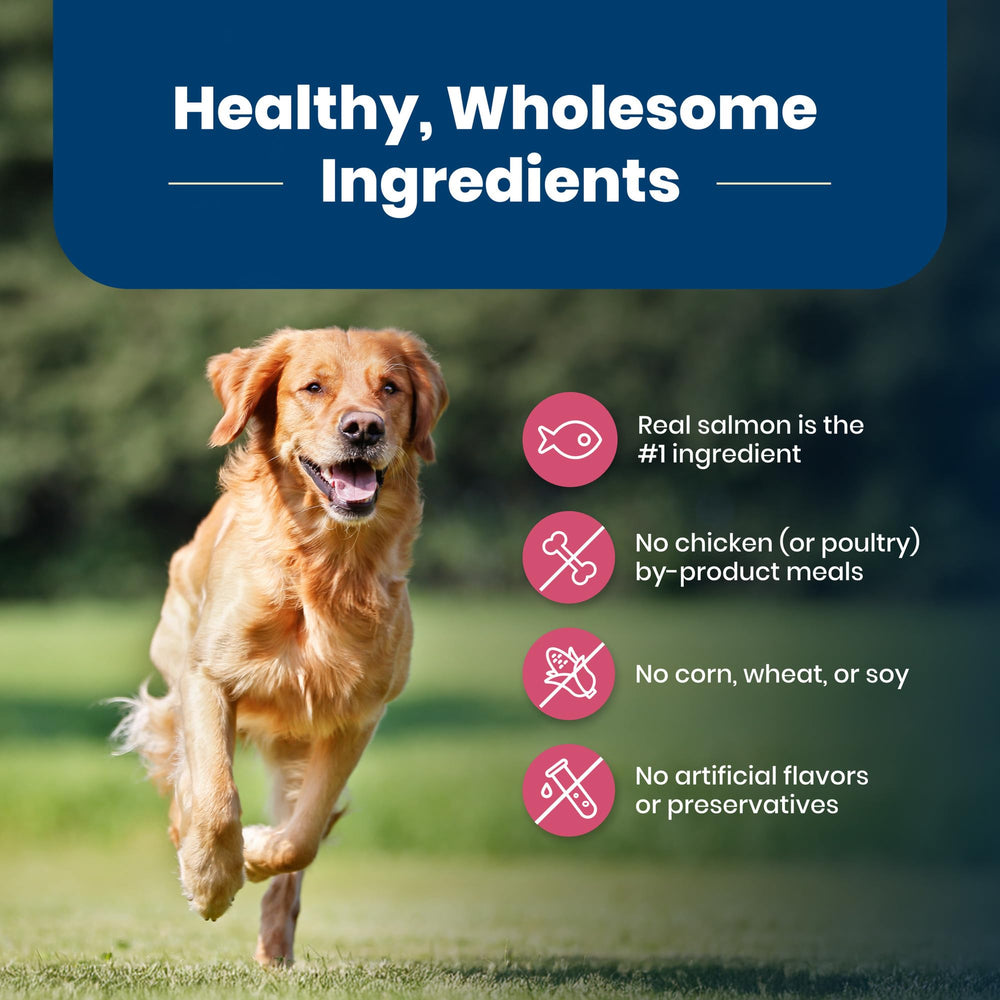 Blue Buffalo Life Protection balanced adult-dog nutrition on packaging supports daily energy.