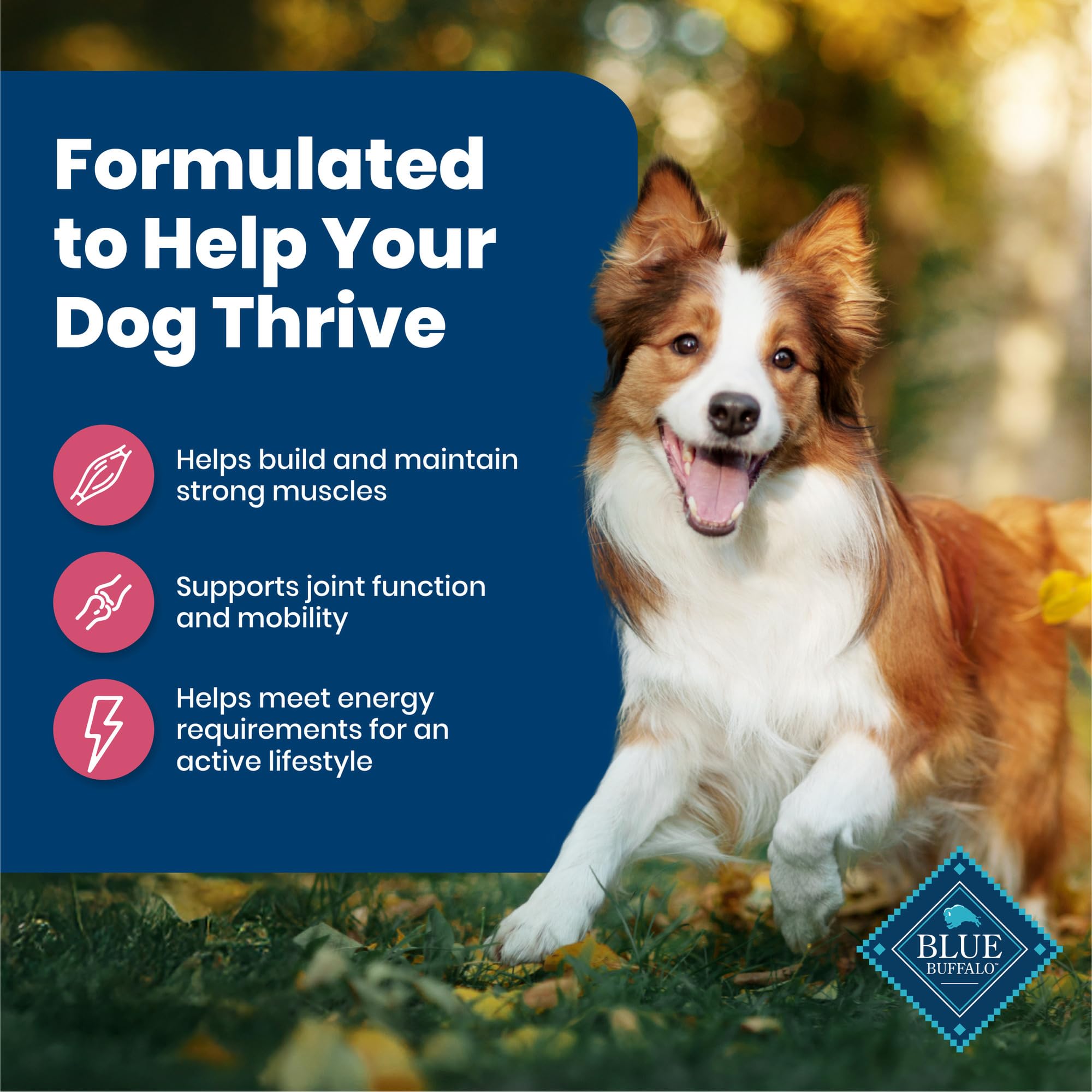 Blue Buffalo Life Protection LifeSource Bits image emphasizing antioxidants and vitamins