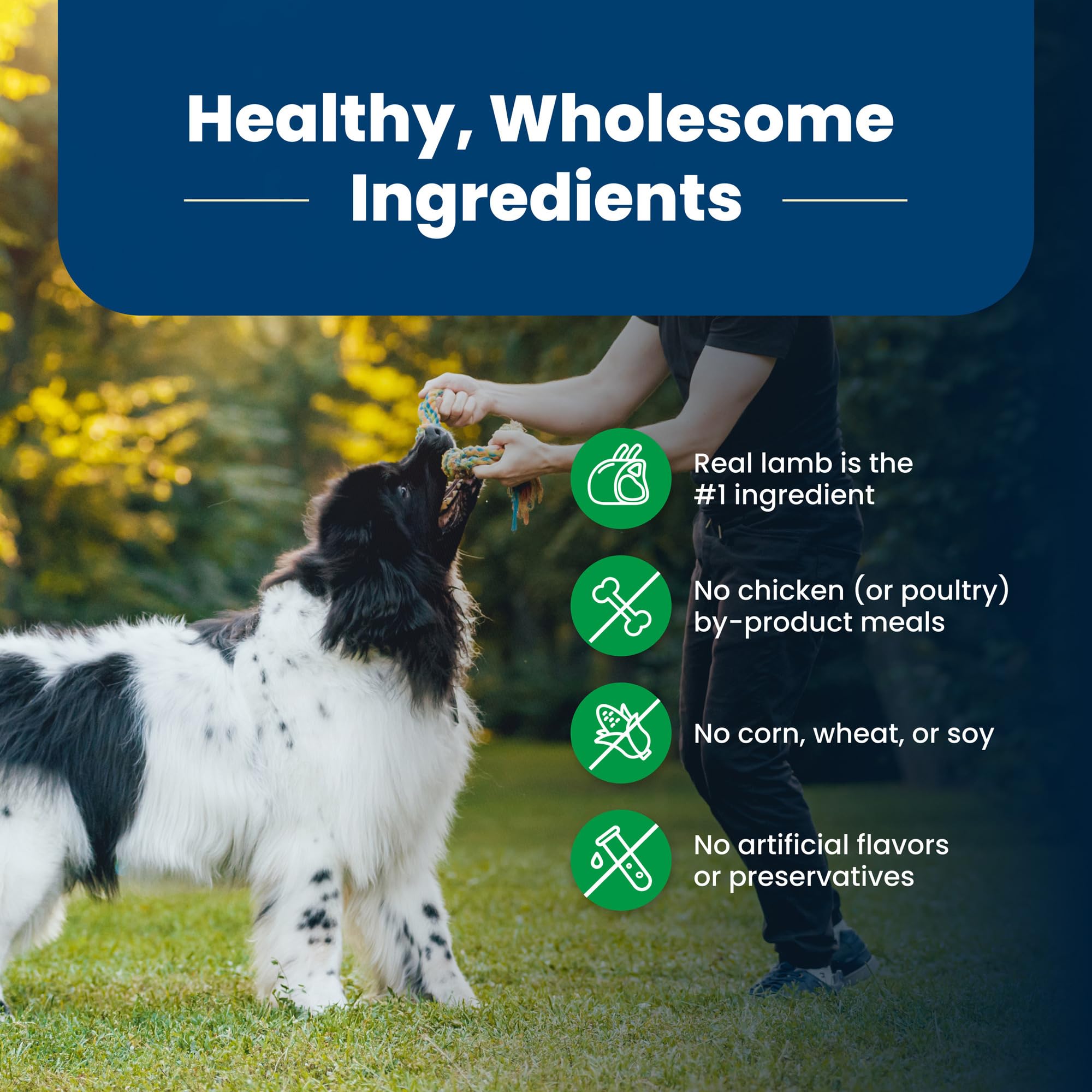 Blue Buffalo Life Protection Omega-3 and 6 for healthy skin and coat visuals.