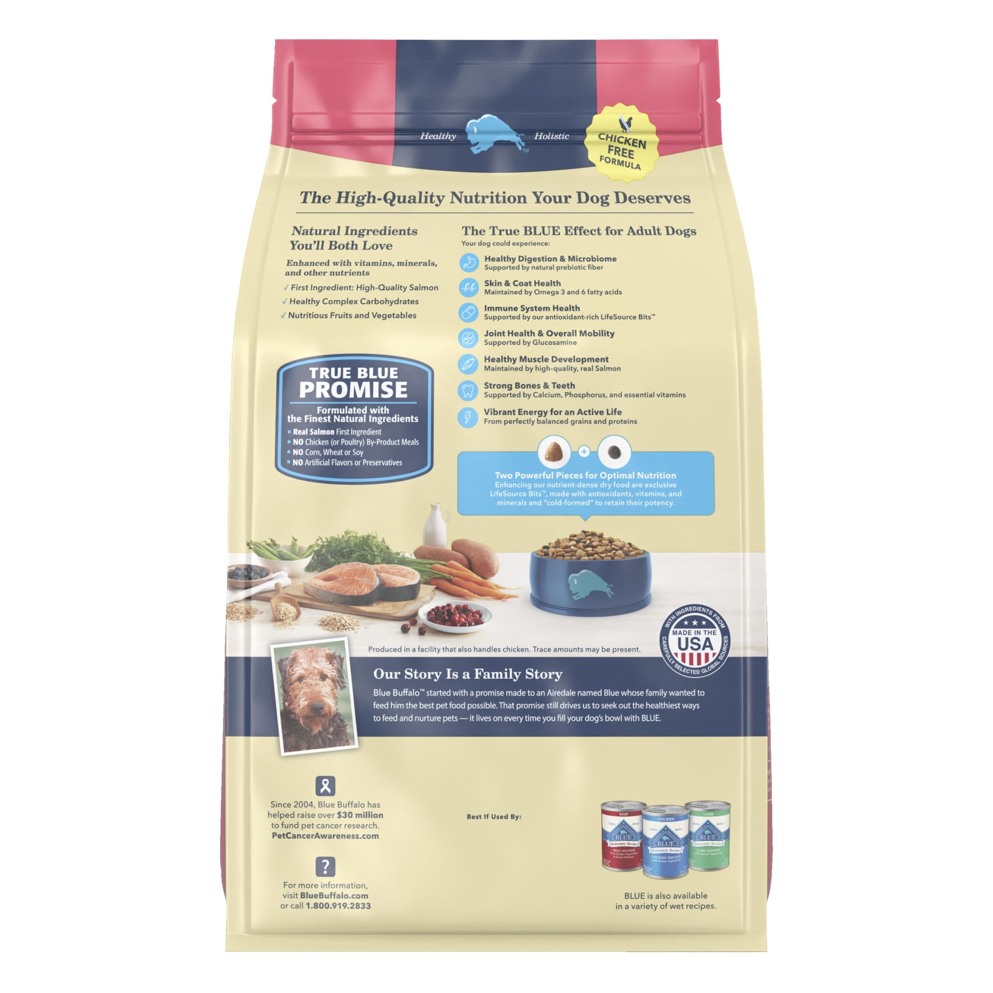 Blue Buffalo salmon-brown-rice kibble close-up showcases balanced nutrition without corn, wheat, or soy.