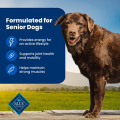 Blue Buffalo Life Protection Senior LifeSource Bits graphic emphasizes immune support.