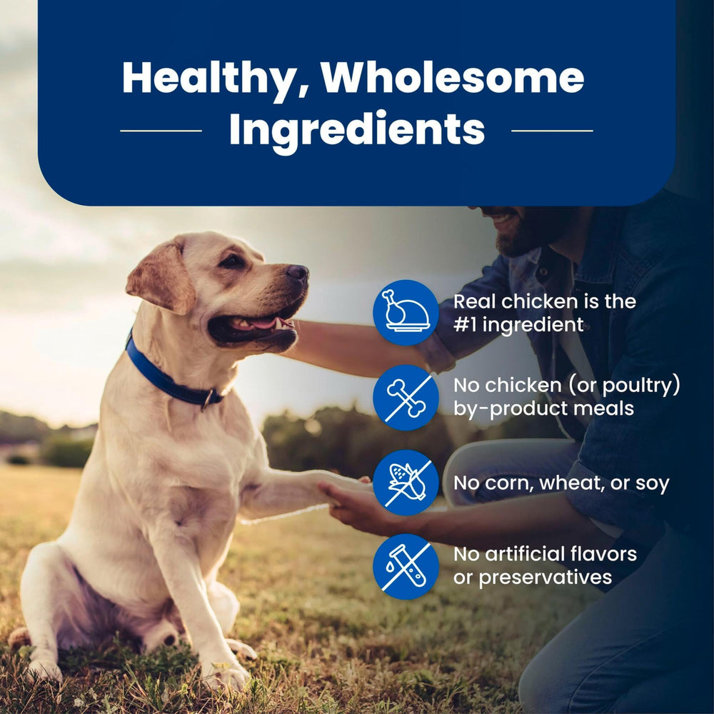Blue Buffalo Life Protection Senior 5-lb bag label emphasizes chicken and brown rice recipe.