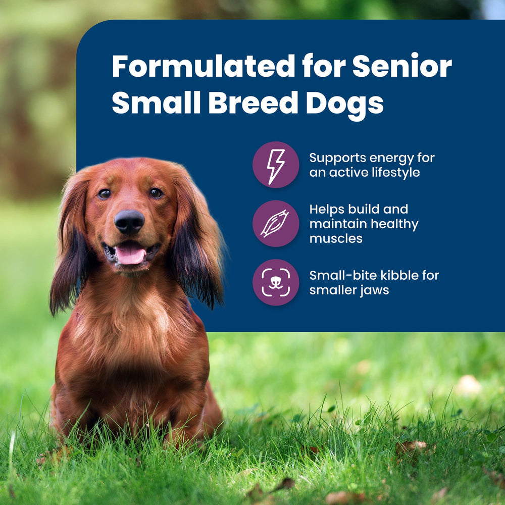 Blue Buffalo Life Protection Small Breed Senior LifeSource Bits icon indicating immune support