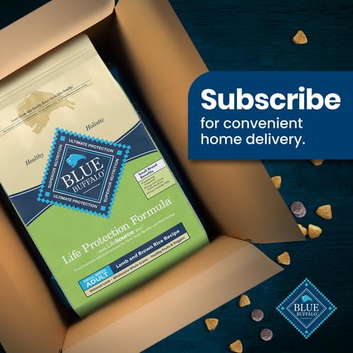 Blue Buffalo Life Protection Lamb and Brown Rice natural ingredients close-up