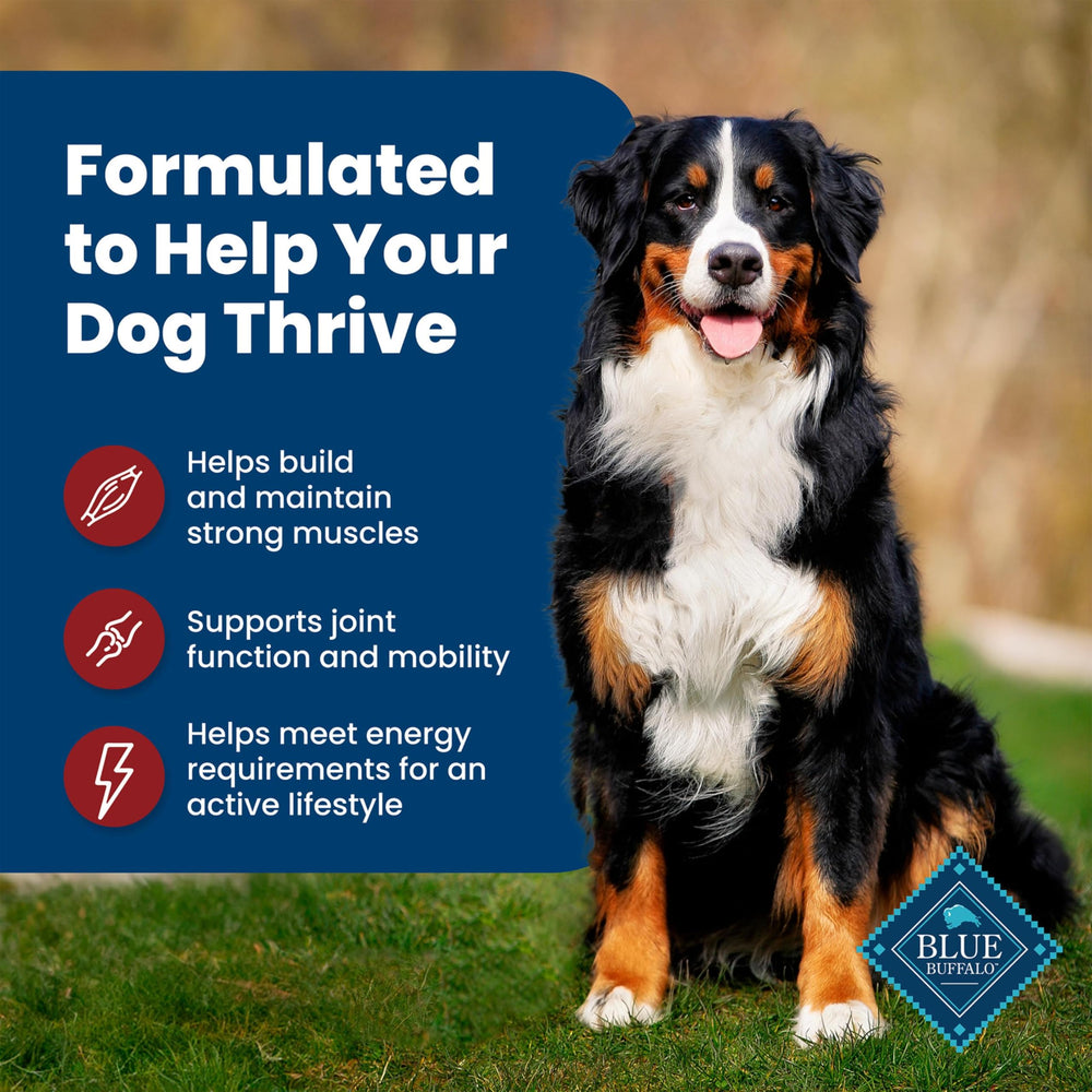 Blue Buffalo LifeSource Bits deliver antioxidants for immune support.