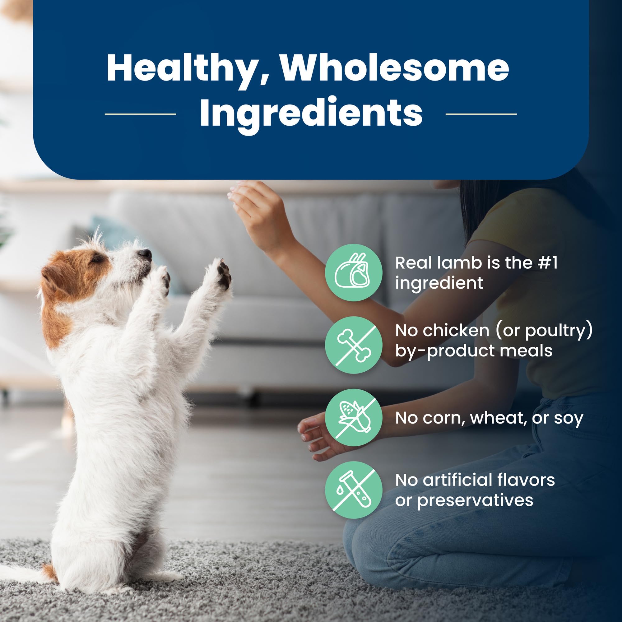 Blue Buffalo natural ingredients with lamb and oatmeal highlight quality recipe.