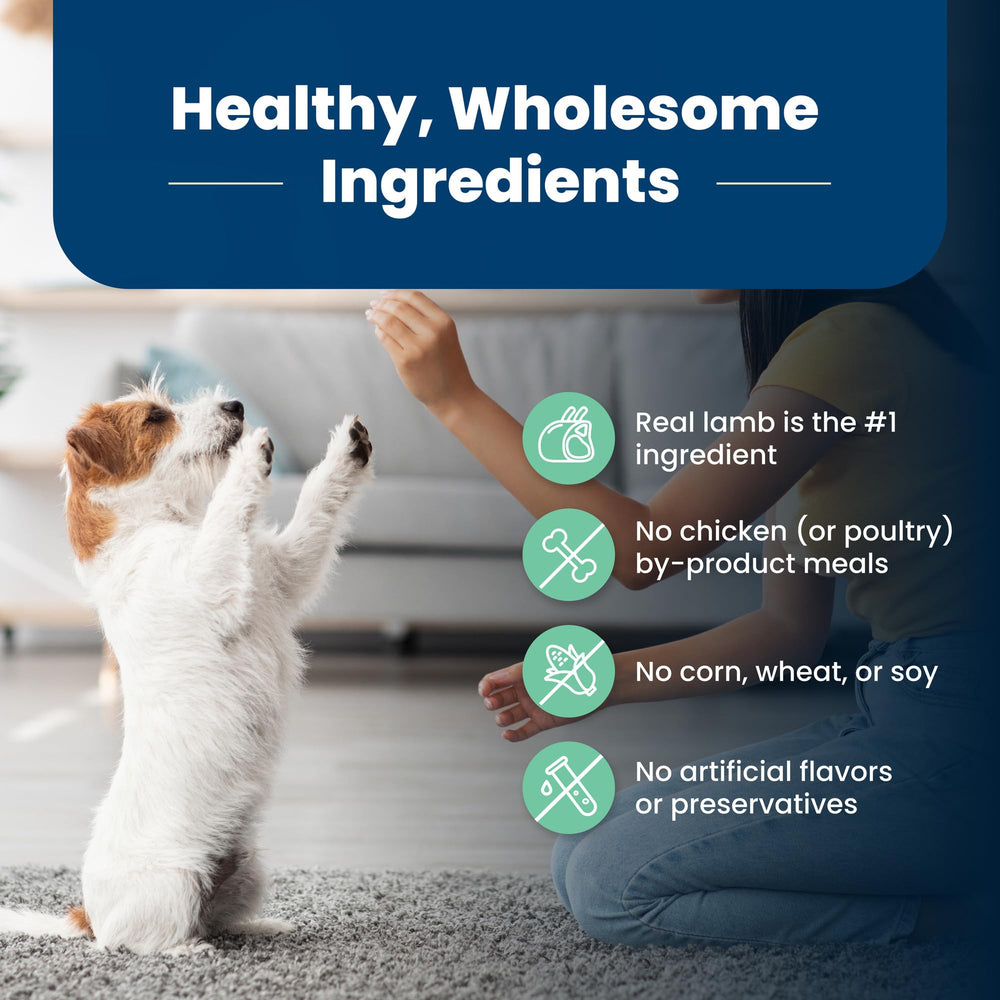 Blue Buffalo natural ingredients with lamb and oatmeal highlight quality recipe.