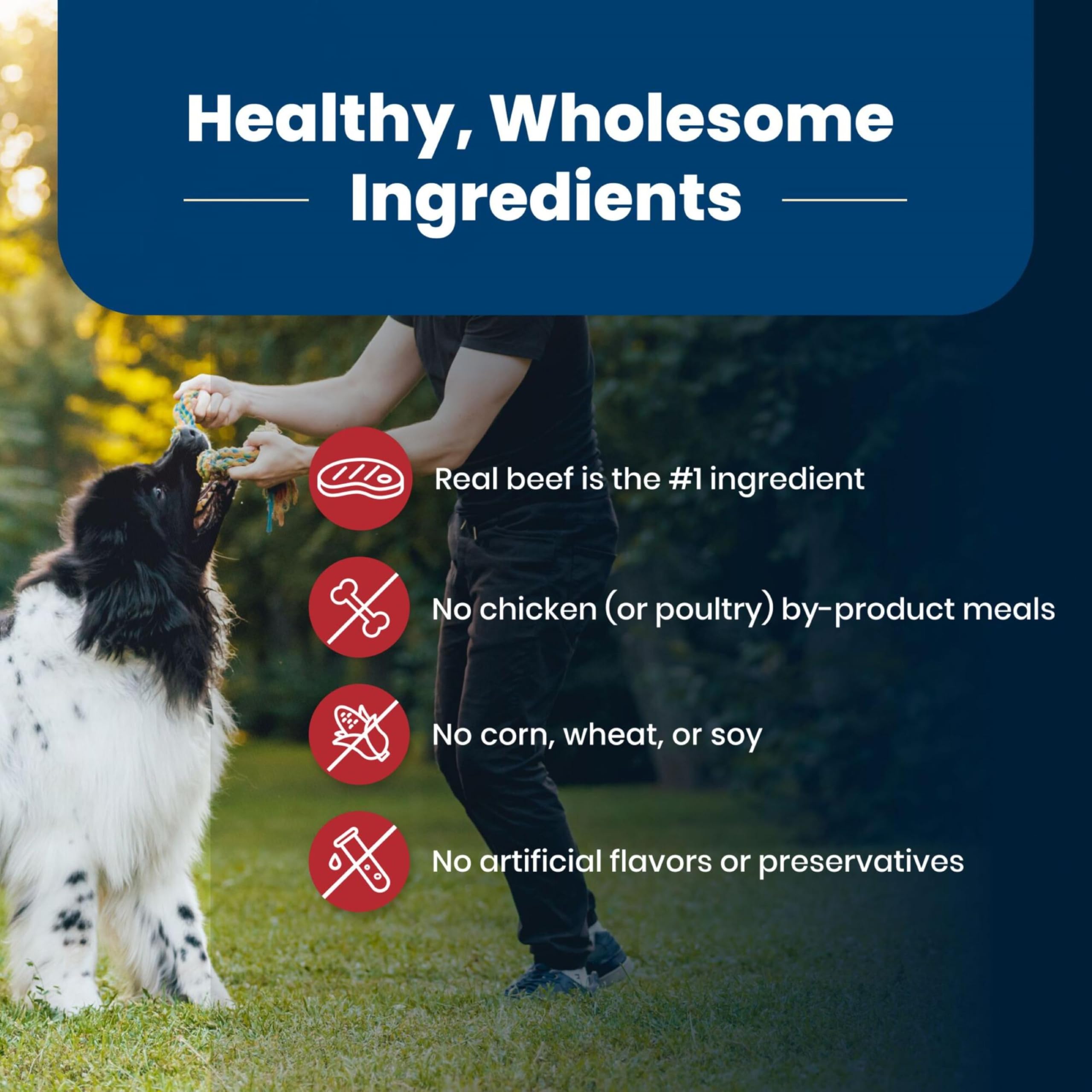 Blue Buffalo wholesome ingredients emphasize natural grains, fruits, and vegetables.