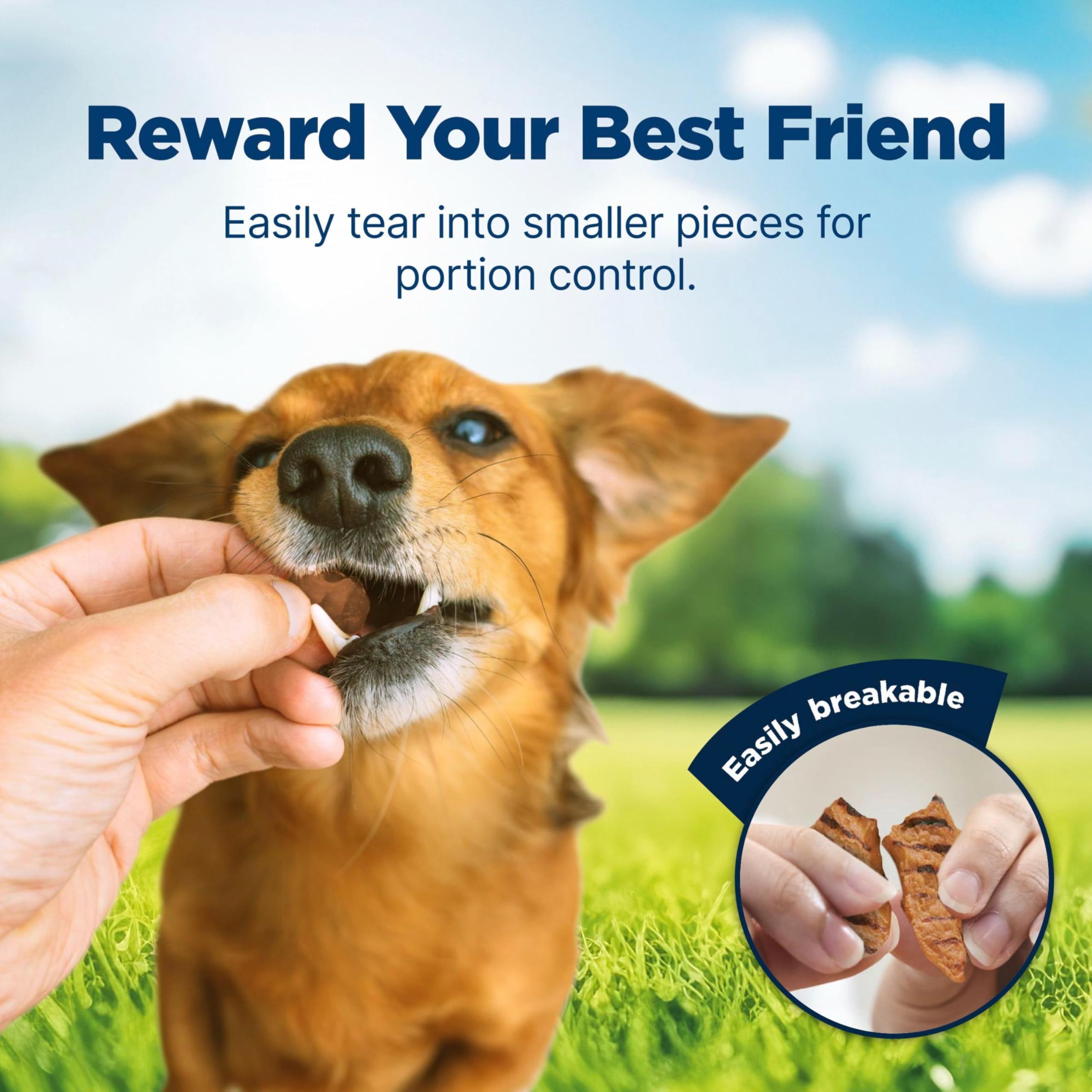 Blue Buffalo Nudges Grillers offers tearable pieces for flexible treats.