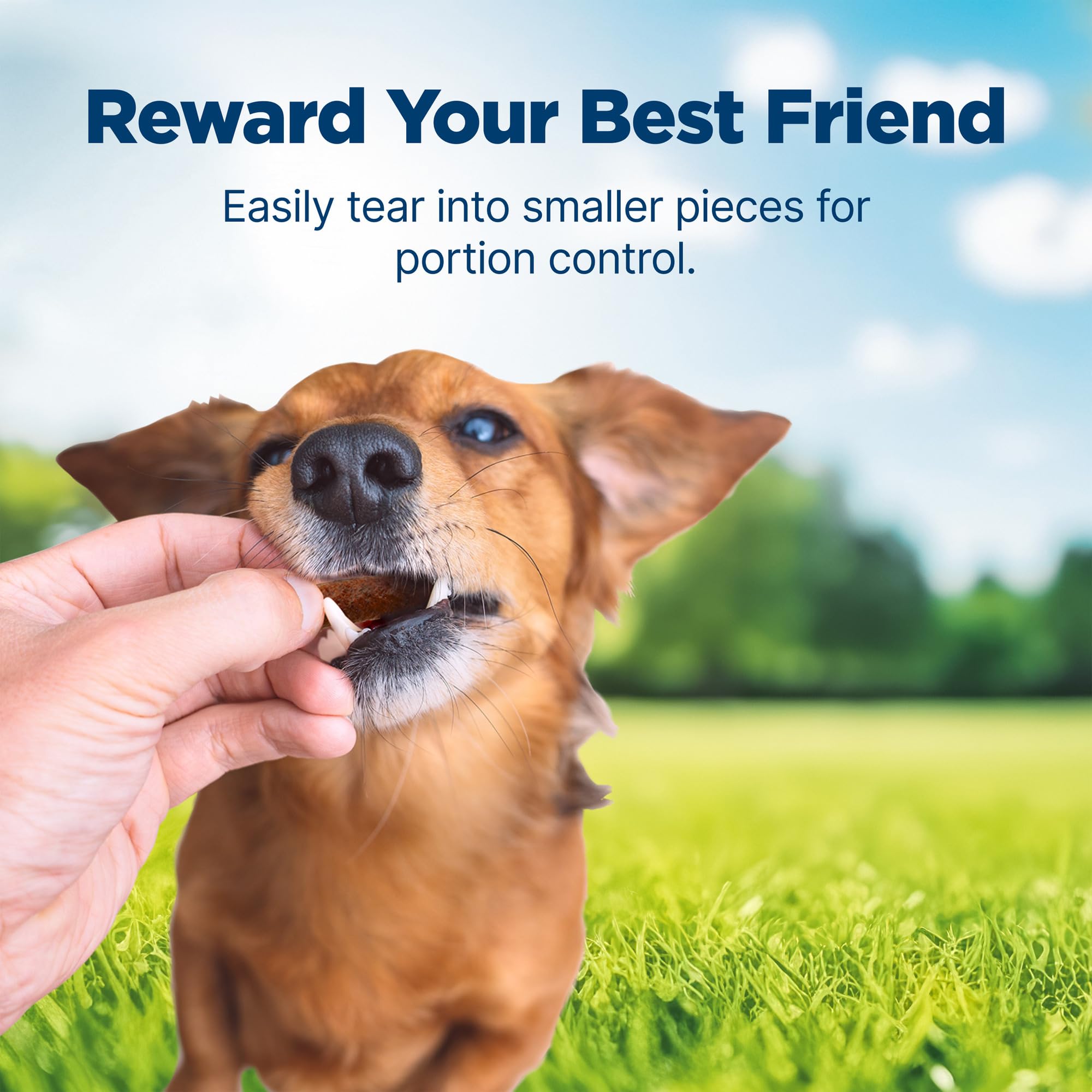 Blue Buffalo Nudges Homestyle USA-made seal signals quality and local sourcing.