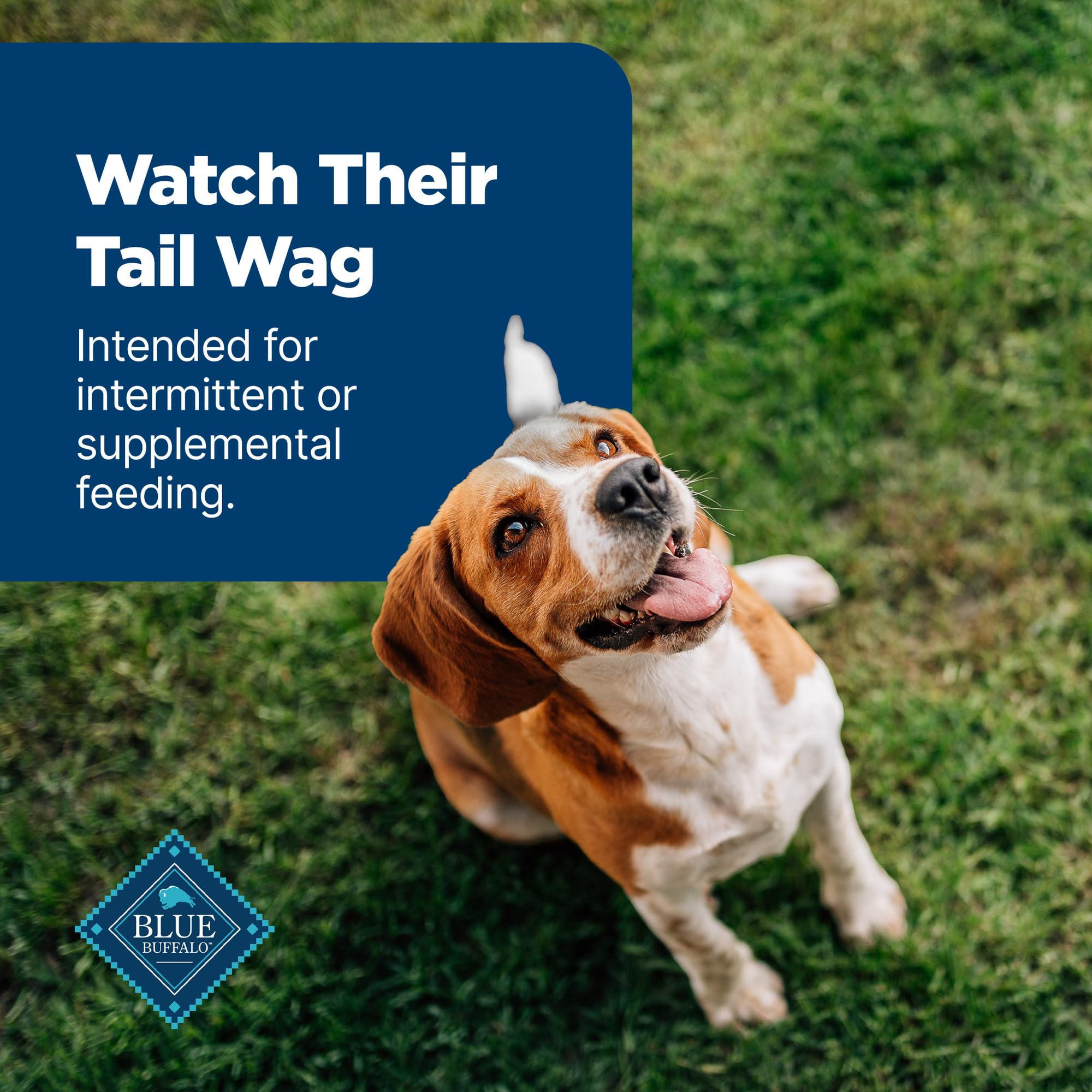 Blue Buffalo Nudges Jerky Bites versatile reward for dogs of all sizes.