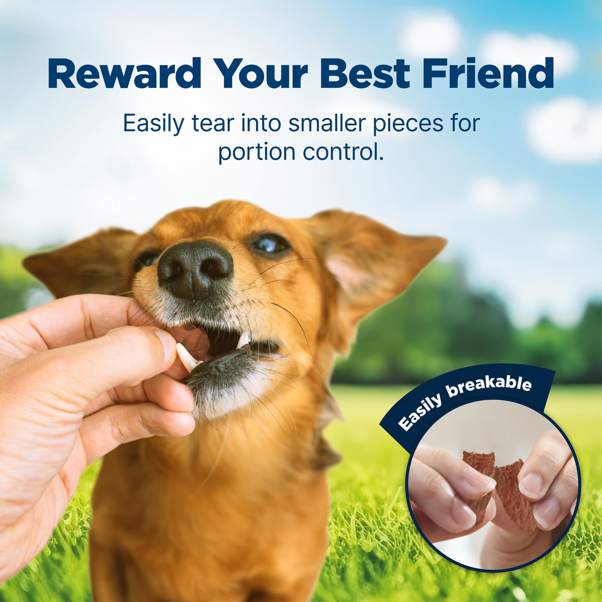 Easy-to-tear pieces from Blue Buffalo Nudges for quick training rewards