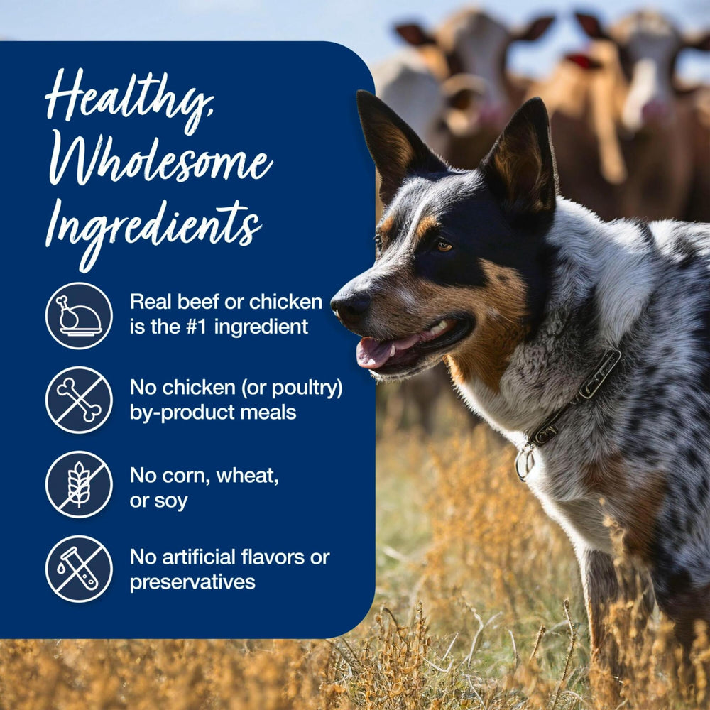 Blue Buffalo nutrition label close-up highlighting vitamins