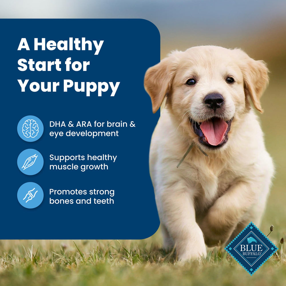 Blue Buffalo real chicken-first kibble close-up underscoring high-quality protein.