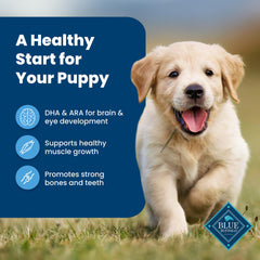 Blue Buffalo real chicken-first kibble close-up underscoring high-quality protein.