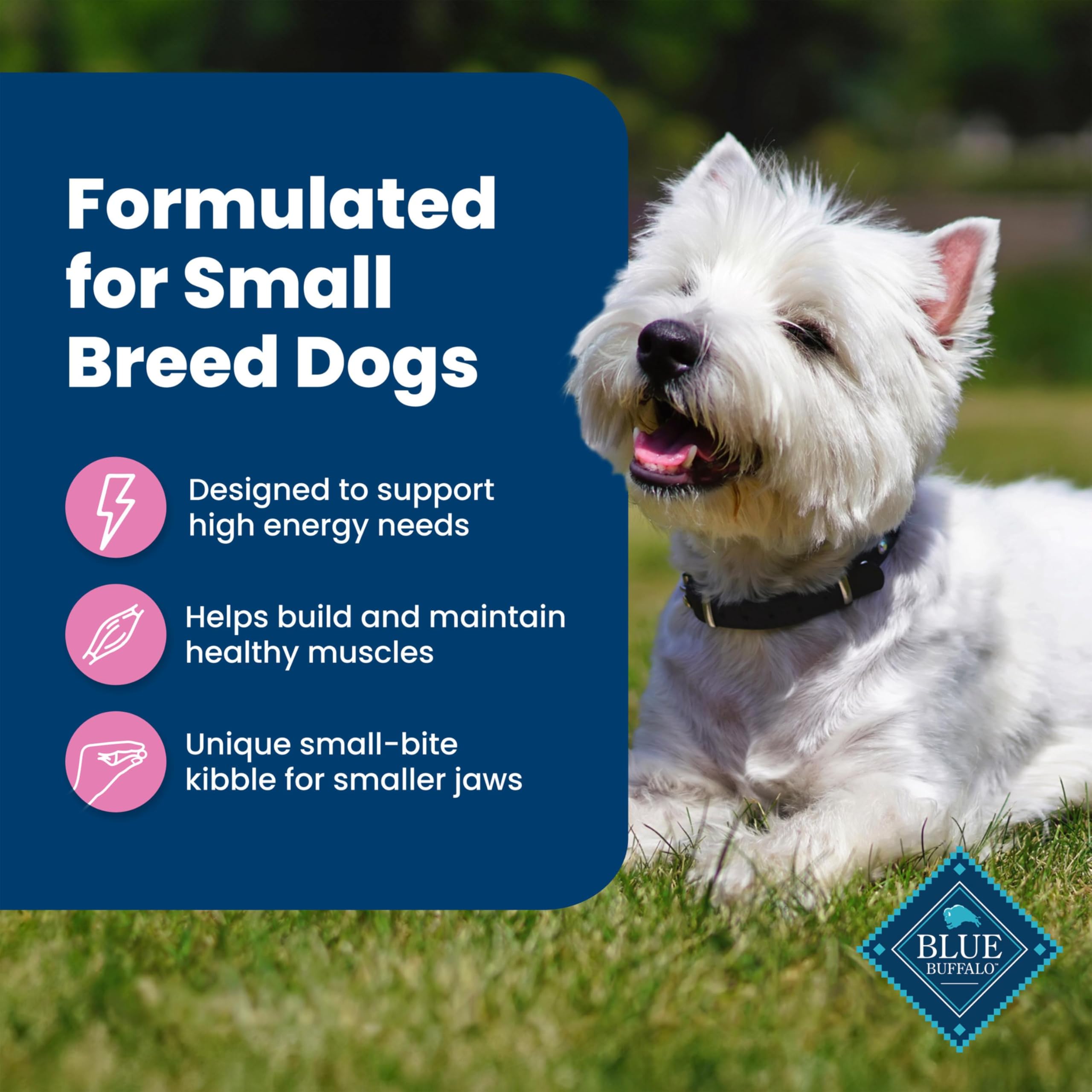 Blue Buffalo small breed energy formula image for tailored protein and carb balance