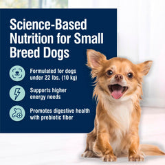 Blue Buffalo small breed kibble in bowl, supporting mealtime energy.