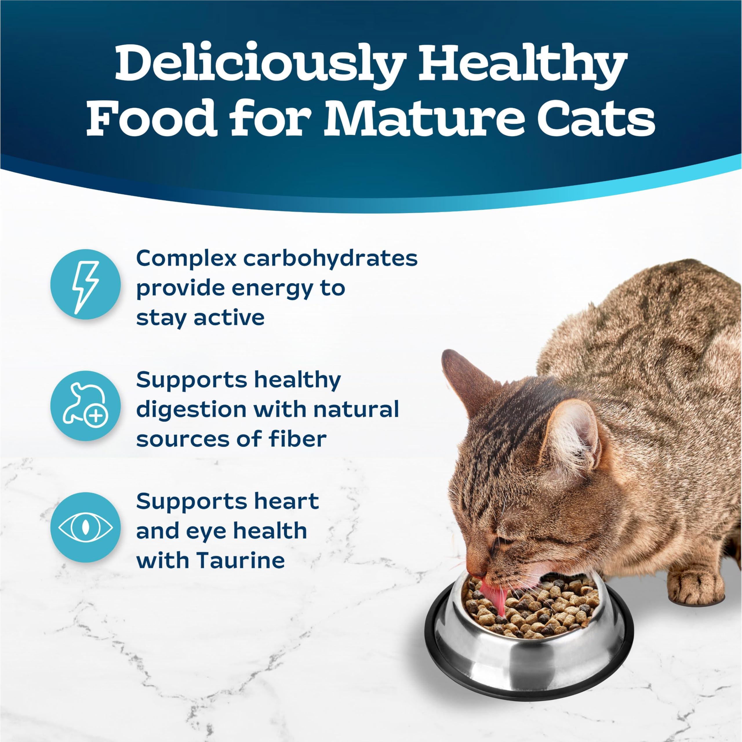 Blue Buffalo Tastefuls LifeSource Bits image highlights antioxidants and minerals.